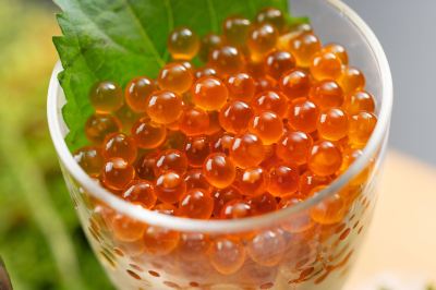 その他 白神山地　ホテルゆとりあ藤里の写真