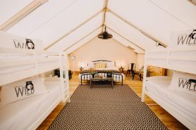 Timberline Glamping at Unicoi State Park