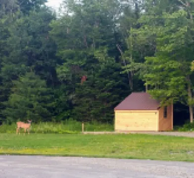 Schlafman's Hollow Off-Grid Cabins