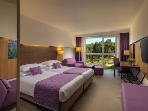 Vitality Hotel Punta