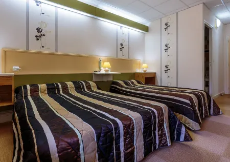 Hôtel Restaurant la Crèche et sa Piscine intérieure - Logis Hôtels Отели в г. Бриуд