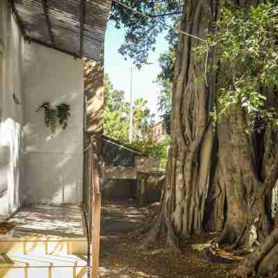 Charming Home in the Heart of Haifa by Sea N Rent Hotel Exterior