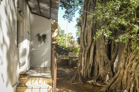 Charming 2 Br in the Heart of Haifa by Sea N Rent