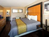 APM Inn and Suites Hotels in Winchester