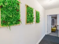 Deluxe Studio Apartments Hotels in Derby