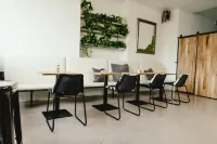 Wake up Wellness Hostel