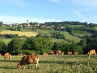 Lodges Lao Hotels in Tarare