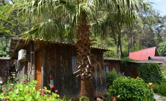 Olympos Mercan Bungalow