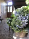 Chambres d'hôtes de Charme le Pradel Hotels in Monceaux-sur-Dordogne
