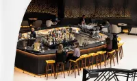 阿姆斯特丹史基浦機場希爾頓飯店 - 酒吧