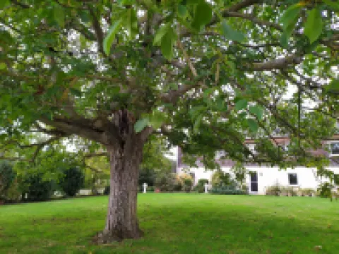 La Halte Aux Oiseaux