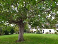 La Halte Aux Oiseaux Hotel a Brissac-Quince