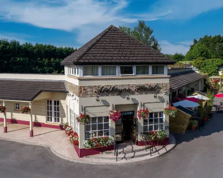 Ardboyne Hotel Hotels in Navan