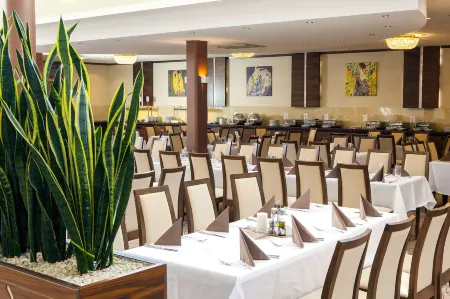 Hotel Boss Отели в г. Юзефув