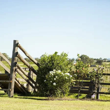 Burncroft Guesthouse