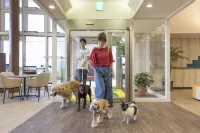 Izu-Kogen Wan Wan Paradise Condominium