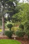 L'Oustalet d'Anicette Hotels in Moissac