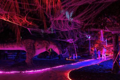 ホテル周辺 アトモスフィア カニフシ モルディブの写真