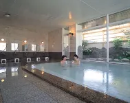 Hotel Yuzawa Yuzawa Denkiya - spa