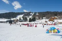 Madame Vacances les Chalets du Berger Hotels in Les Deserts