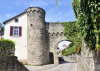 Hotel Herberge Zur Traube Hotel di Bad Rappenau