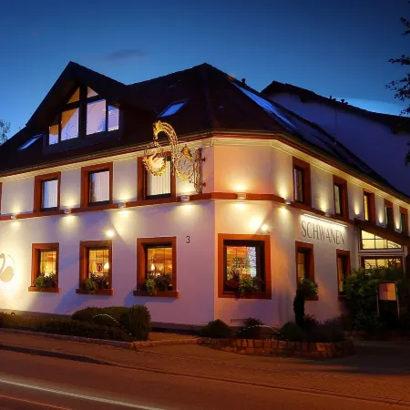 Hotel Schwanen Отели в г. Кель