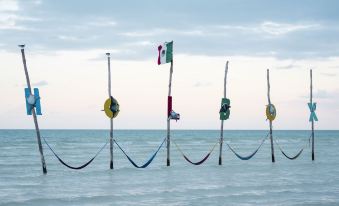 Blue Holbox Beach Front