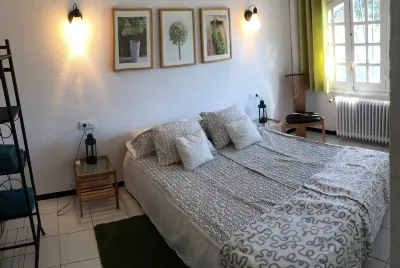 Pao Blau Hotels in Pau