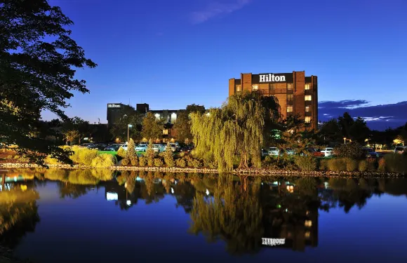 帕西帕尼希爾頓酒店