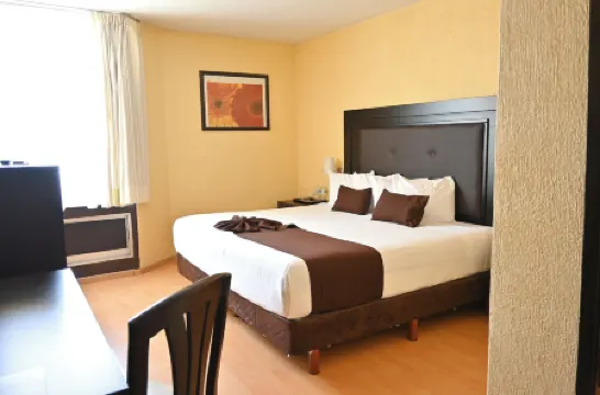 瓜達拉哈拉聖艾琳酒店