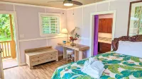 Hawaiian Sanctuary Eco Retreat Center Hotels in Hawaii County