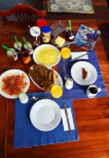 Ratones de Biblioteca