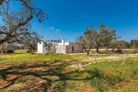 2769 Uliveto Valeria - Trullo Fico by Perle di Puglia