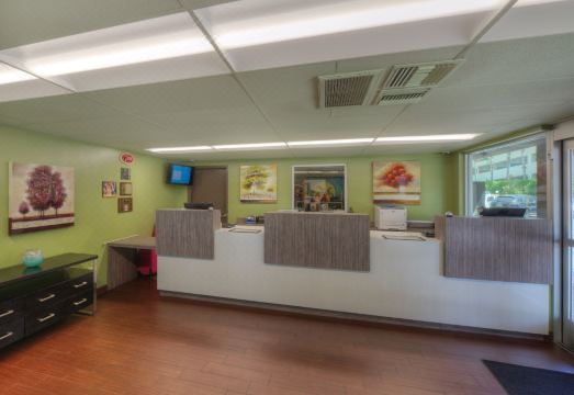 1. 킹스 인 애너하..