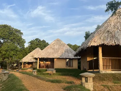 Saffron Lake Yala