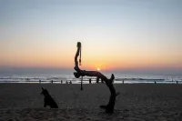 Sunset Cafe Beach Stay - Ocean View