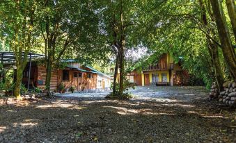 Violeta Homes Monteverde