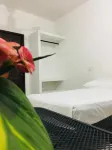 Standard Room with Two Single Beds for Relaxed Stay - Pensions