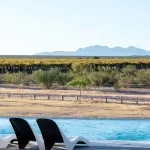 Entre Viñedos Resort Hotel - Pool