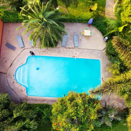 Palmwood Lodge