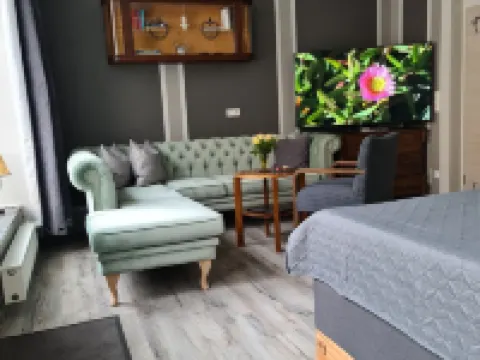 アパートメント アルテ シュステライ フライブルクのホテル