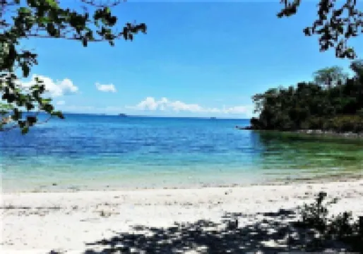 OPC張度假村和潛水中心