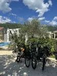 Villa La Vida Hotels in Krimovica
