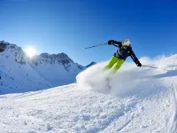 Hotel Palomino Hotels in Ouray County
