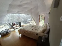 Dome Solar Studio Escape <br>Set in native forest high in the Blue Mountains. Enjoy