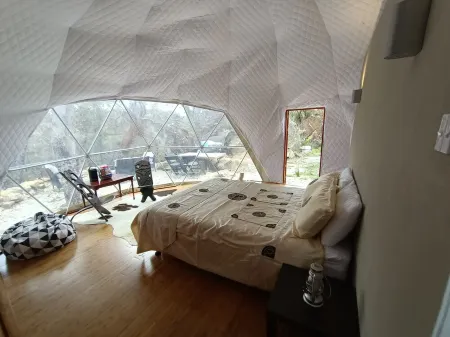 Dome Solar Studio Escape <br>Set in native forest high in the Blue Mountains. Enjoy