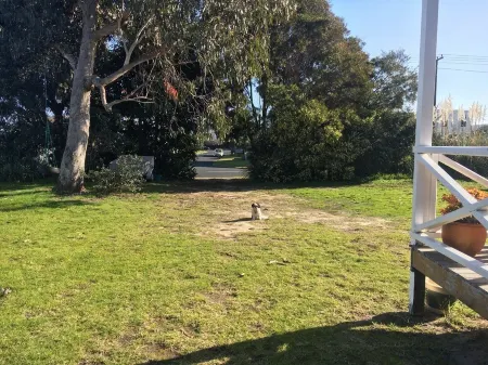 Cozy two story hideaway Отели рядом с достопримечательностью «Уангамата Бич»