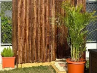 Arasibo RV Hotels in Arecibo