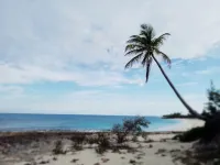 Coconut Beach House: Oceanfront, Beach, Dock, Views, Secluded, Reefs, Generator Hotels in Green Turtle Cay