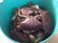 Glenelg - Detached House With Stunning Views Over the Sea to the Isle of Skye 카일 호텔